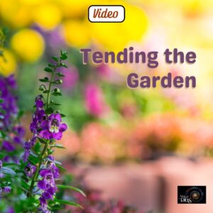 Tending the Garden - Store Video Product Pic