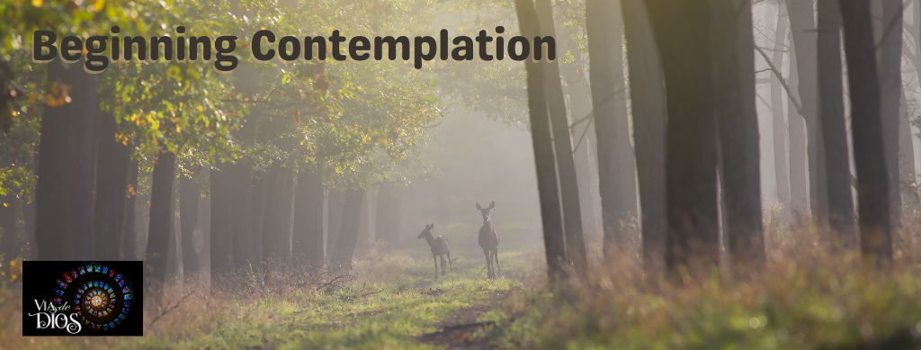 Beginning Contemplation Banner