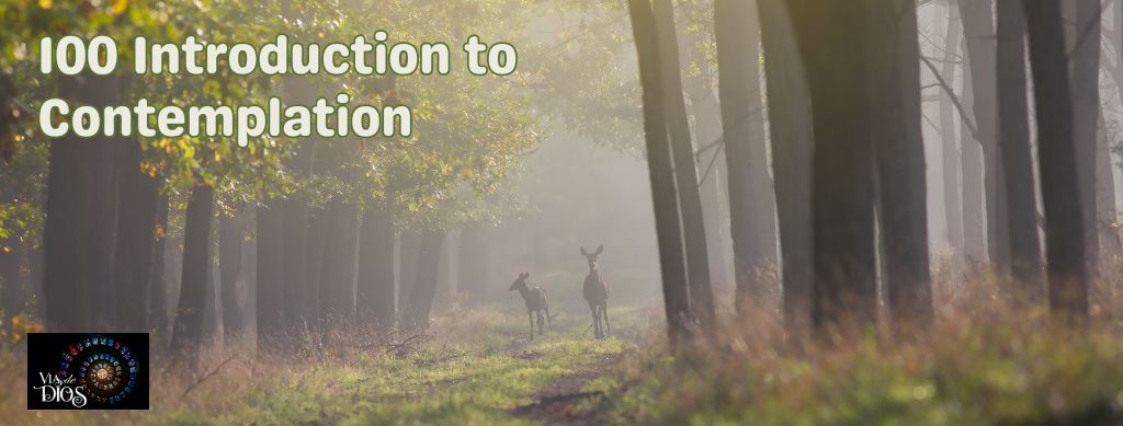 100 Introduction to Contemplation Banner