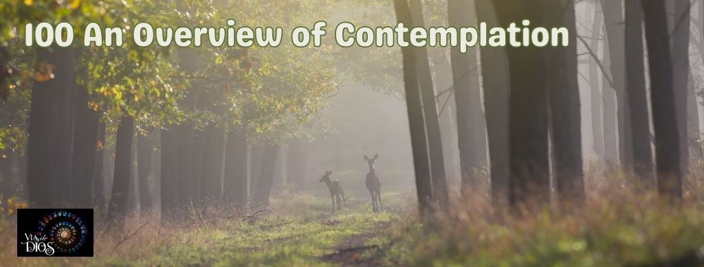 100 An Overview of Contemplation Banner